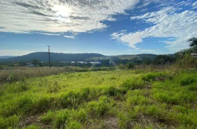 Chácara à venda, 10000 m² por r$ 480.000,00 - vila rural - ibiporã/pr