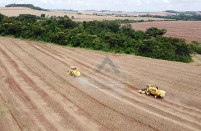 Sítio à venda, 520300 m² por r$ 14.000.000,00 - agua das aboboras  - ibiporã/pr