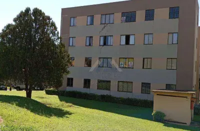 Apartamento com 3 dormitórios à venda, 47 m² por r$ 150.000,00 - monte belo - londrina/pr