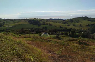 Chácara à venda, 5900 m² por r$ 550.000,00 - jardim cinquentenário - ibiporã/pr