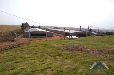 Sítio à venda, 170000 m² por r$ 6.300.000,00 - rural - alvorada do sul/pr