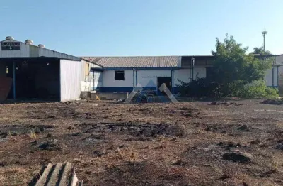 Barracão à venda, 2000 m² por r$ 5.500.000,00 - éden - ibiporã/pr