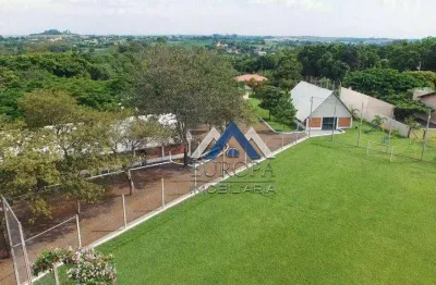 Chácara com 20 dormitórios, 10000 m² - venda por r$ 2.400.000,00 ou aluguel por r$ 20.000,00/mês -  distrito espírito santo - londrina/pr