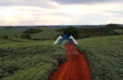 Sítio à venda, 90750 m² por r$ 1.200.000,00 - rural - assaí/pr