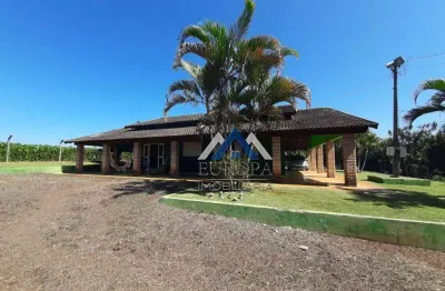 Chácara com 3 dormitórios à venda, 24200 m² por r$ 2.300.000,00 -  distrito espírito santo - londrina/pr