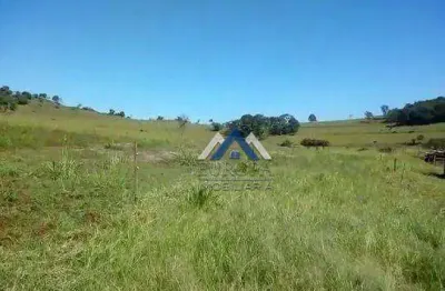 Sítio com 2 dormitórios à venda, 145200 m² por r$ 1.600.000,00 - zona rural - jataizinho/pr
