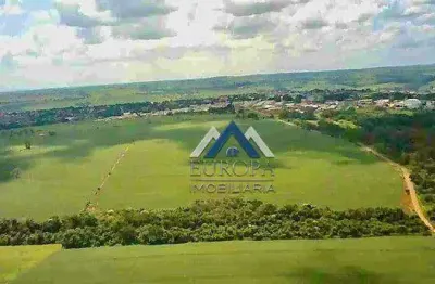 Sítio à venda, 13 alqueires por r$ 10.400.000 - zona rural - jaguapitã/pr