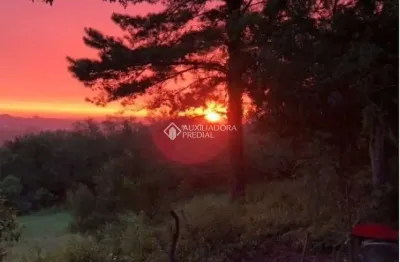 Terreno à venda na estrada kanazawa, 1045, vila nova, porto alegre, 269 m2 por r$ 3.900.000