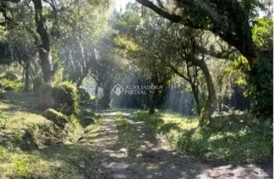 Terreno à venda na estrada kanazawa, 1045, vila nova, porto alegre, 269 m2 por r$ 3.900.000