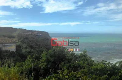Terreno à venda, 5000 m² por r$ 4.500.000 - ferradurinha - armação dos búzios/rj