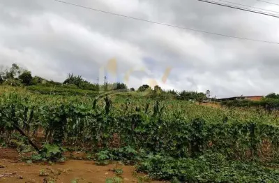 Chácara / sítio à venda no Centro, Pilar do Sul 