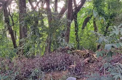 Terreno à venda, 357 m² por r$ 270.000,00 - retiro das fontes - atibaia/sp