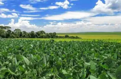 Fazenda à venda na Zona Rural, Ivaiporã 