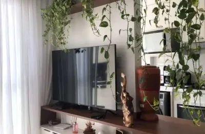 Apartamento com 2 quartos à venda na estrada anarolina silveira santos, 175, vargem do bom jesus, florianópolis, 54 m2 por r$ 430.000