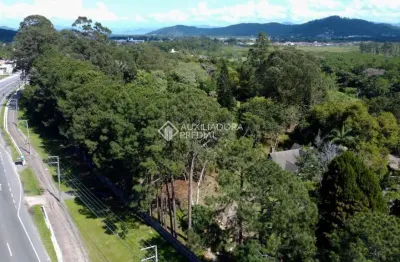 Terreno à venda na rodovia armando calil bulos, 177, ingleses do rio vermelho, florianópolis, 33044 m2 por r$ 21.300.000