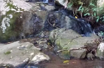 Fazenda à venda na sc 437, 0000, fazenda são paulo, imaruí, 50 m2 por r$ 980.000