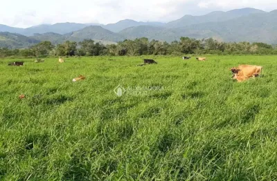 Fazenda à venda na inácio fernandes, 0123, penha, paulo lopes, 2070000 m2 por r$ 7.500.000