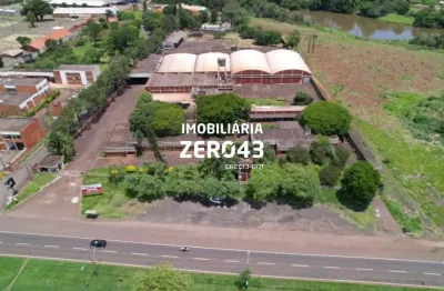 Casa para alugar na Avenida Tiradentes, Jardim Rosicler, Londrina