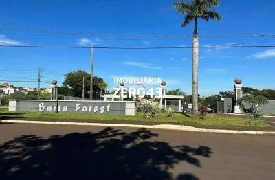 Jardim barra forest | terreno | ideal | à venda | | | londrina