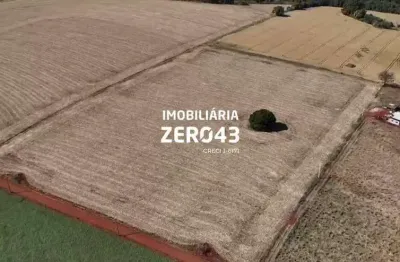 Terreno à venda na Rua Jordelino Silva, Jardim Primavera, Londrina