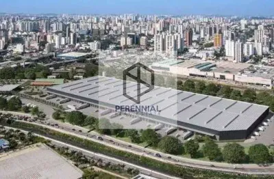 Casa para alugar na Avenida Antônio Cardoso, 319, Bangú, Santo André