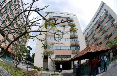 Escritórios comerciais para locação no Centro Empresarial Washington Luiz, RJ - 541 m²