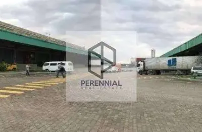 Barracão / Galpão / Depósito para alugar na Rodovia Washington Luiz, 4370, Vila São Luís, Duque de Caxias