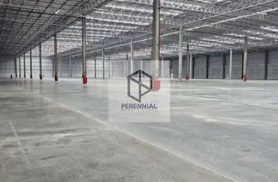 Barracão / Galpão / Depósito para alugar na Estrada Tdr Norte, 8466, Zona Industrial de Suape, Cabo de Santo Agostinho