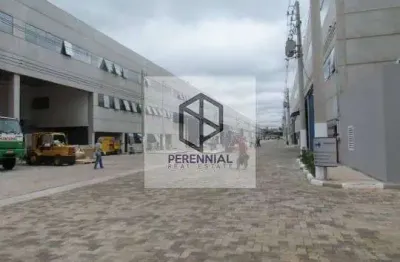 Barracão / Galpão / Depósito com 6 salas para alugar na Avenida Fagundes de Oliveira, 538, Piraporinha, Diadema