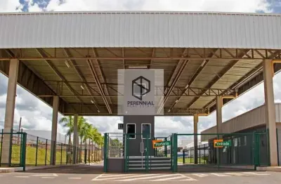 Barracão / Galpão / Depósito para alugar na Rodovia BR-153, KM 5.5, Fazenda Retiro, Goiânia