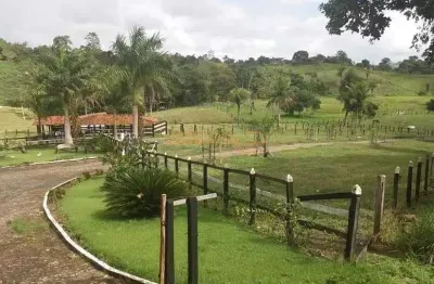 Fazenda à venda no bairro área rural de araguari - araguari/mg