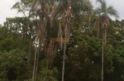 Fazenda café em araguari e fazenda gado araguari - dupla aptidão