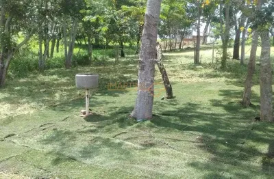 Fazenda à venda na Área Rural de Araguari, Araguari 
