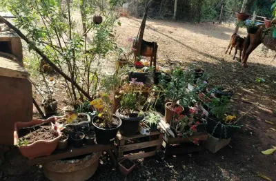Fazenda à venda na Área Rural de Araguari, Araguari 