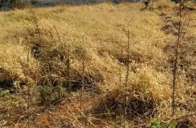 Terreno à venda no Bosque, Araguari 