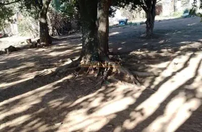 Terreno à venda no Bosque, Araguari 