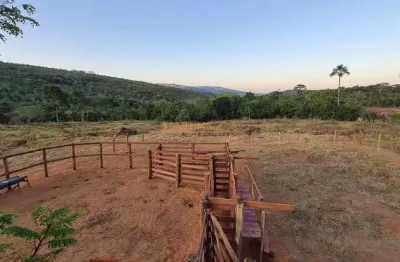 Fazenda à venda no bairro área rural de araguari - araguari/mg