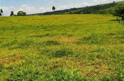 Fazenda à venda na Área Rural de Araguari, Araguari 