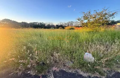 Terreno à venda na Praça Gaioso Neves, Jardim Panorama, Araguari