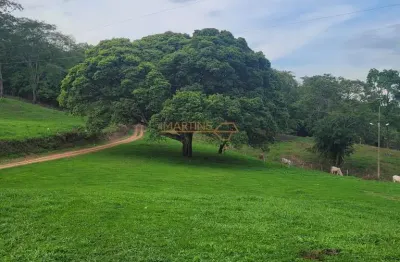 Fazenda à venda no bairro área rural de araguari - araguari/mg