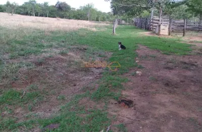 Casa com 4 quartos à venda no Centro, Araguari 