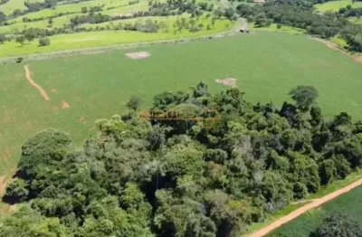 Fazenda à venda na Rua Antônio Lemos da Silva, Centro, Araguari