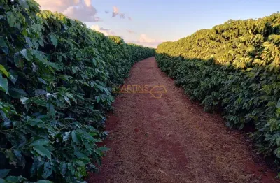 Fazenda à venda na Rua Antônio Lemos da Silva, Centro, Araguari
