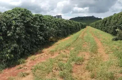 Fazenda à venda na Rua Antônio Lemos da Silva, Centro, Araguari
