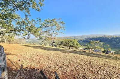 Fazenda à venda no bairro área rural de araguari - araguari/mg