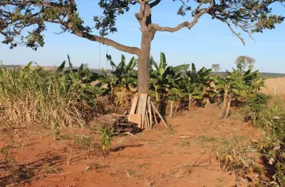 Chácara à venda no bairro área rural de araguari - araguari/mg