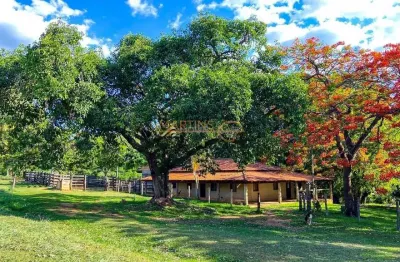 Fazenda à venda – serra do barracão, sentido caldas novas - araguari-mg