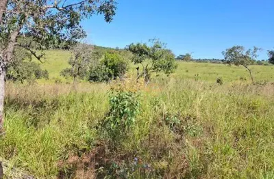Fazenda à venda na Área Rural de Araguari, Araguari 