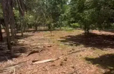 Fazenda à venda na Área Rural de Araguari, Araguari 
