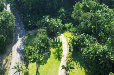 Chácara à venda, 3700 m² por r$ 580.000,00 - rio da luz - jaraguá do sul/sc